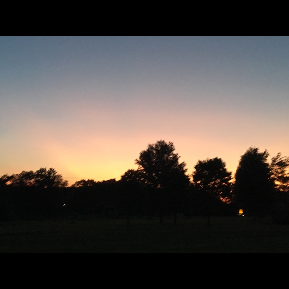 Meet your Posher, Kiara